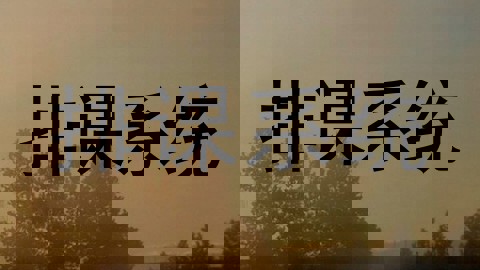 排课系统