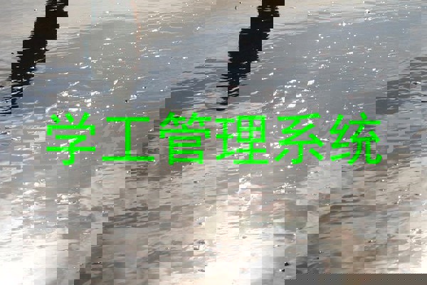 学工管理系统