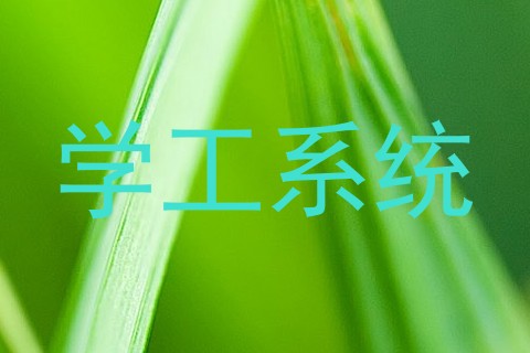 学工系统