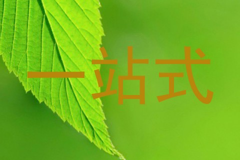 一站式