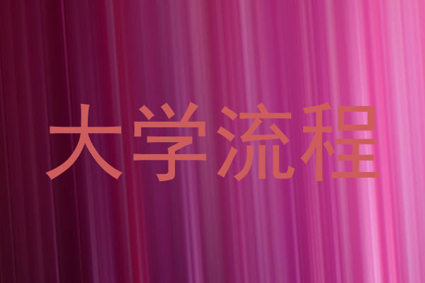 大学流程