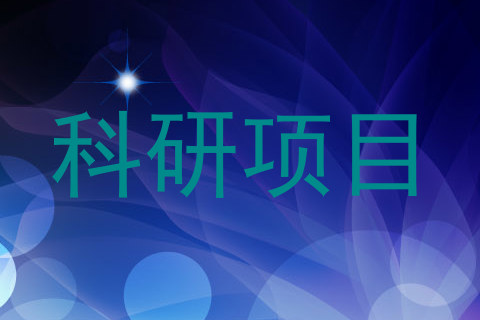 科研项目