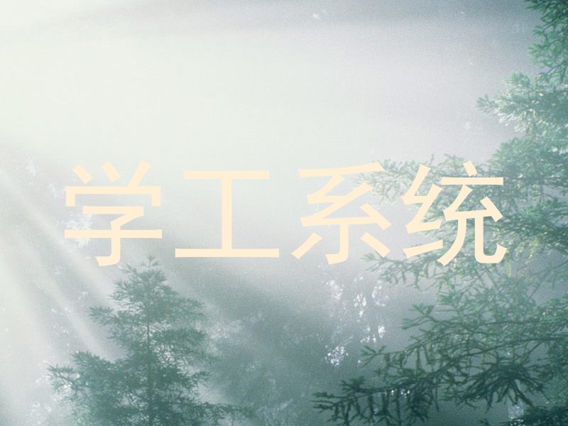学工系统