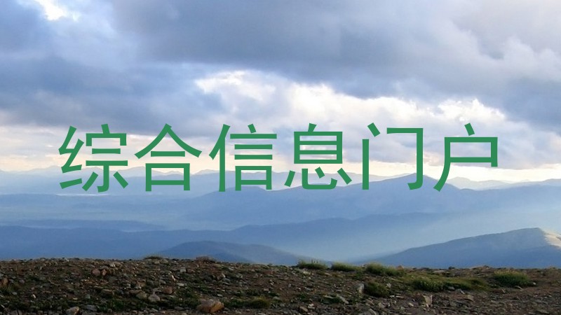综合信息门户