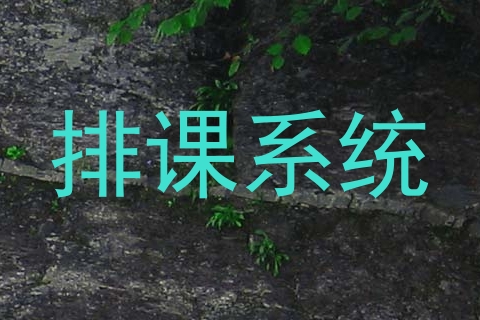 排课系统