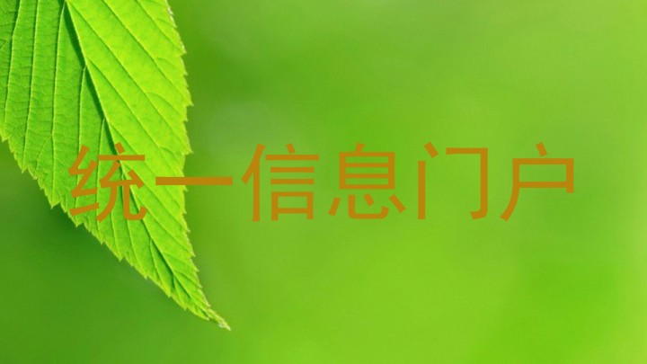 统一信息门户