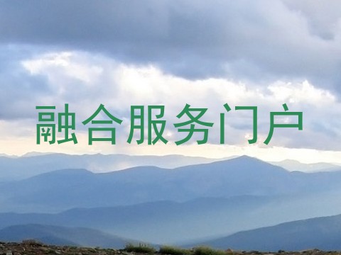 融合服务门户