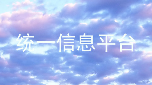 统一信息平台