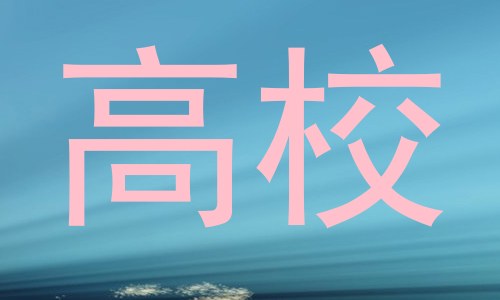 高校