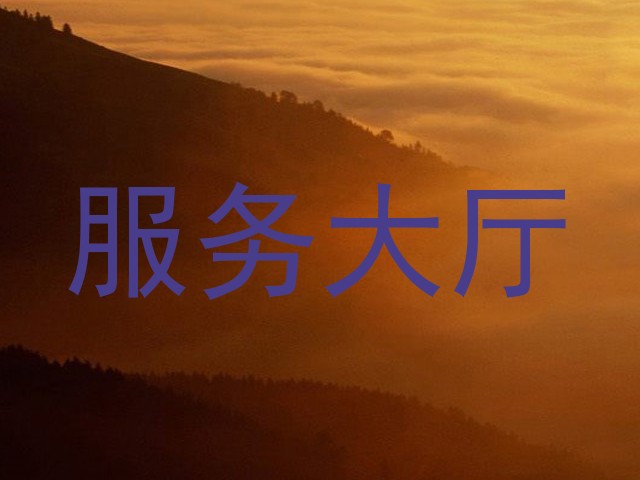 服务大厅