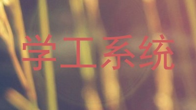 学工系统