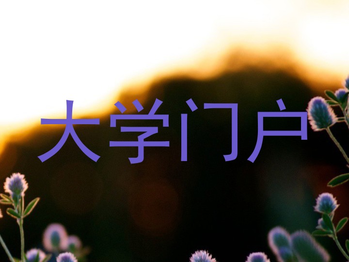大学门户