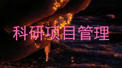 科研项目管理