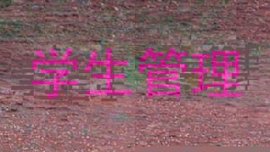 学生管理