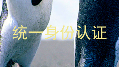 统一身份认证