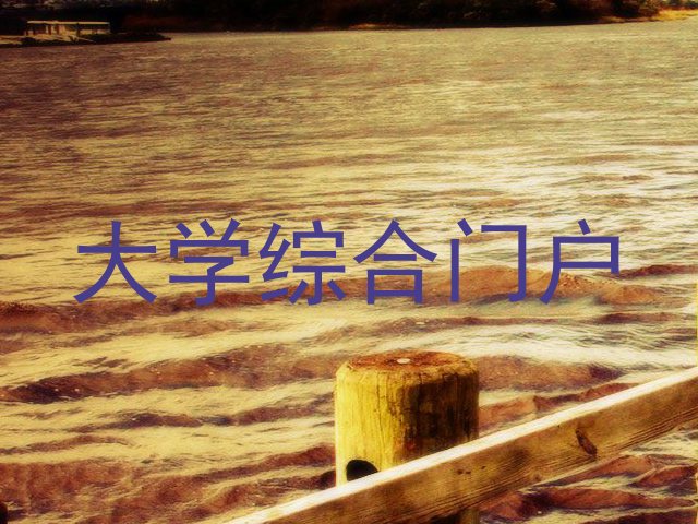 大学综合门户