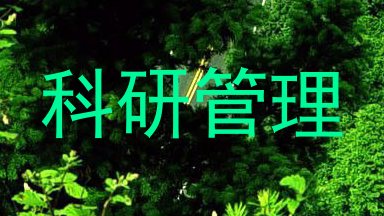 科研管理