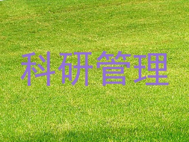 科研管理
