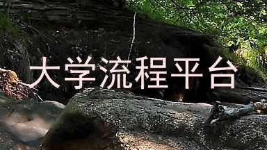 大学流程平台