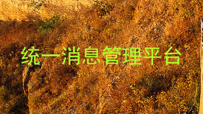 统一消息管理平台