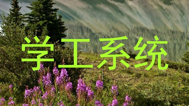学工系统