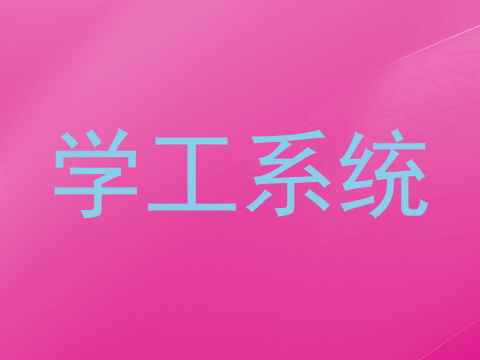 学工系统