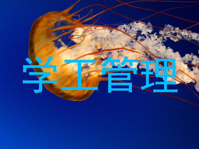 学工管理