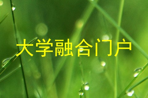 大学融合门户