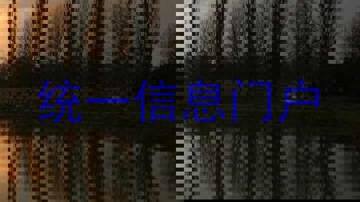 统一信息门户