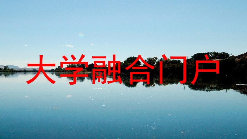大学融合门户