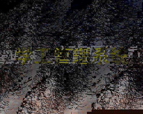 学工管理系统