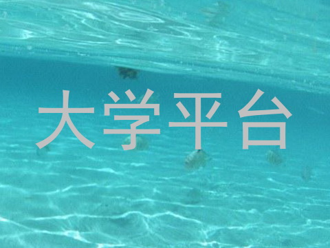 大学平台