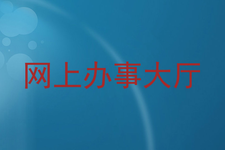 网上办事大厅