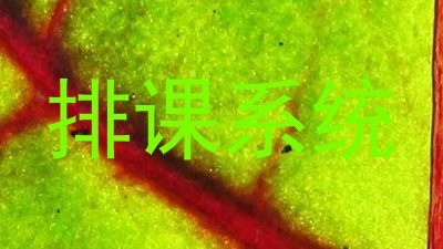 排课系统