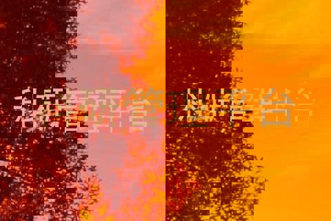 科研管理平台