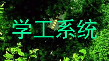 学工系统