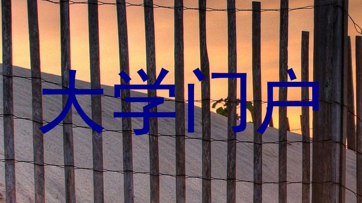 大学门户