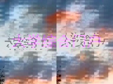 大学综合门户