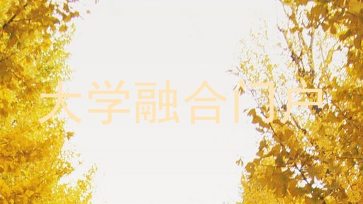 大学融合门户