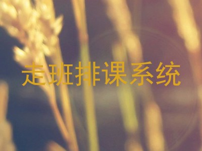 走班排课系统