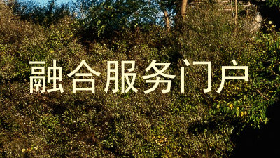 融合服务门户