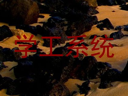 学工系统