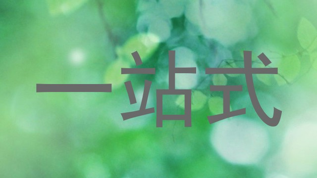 一站式