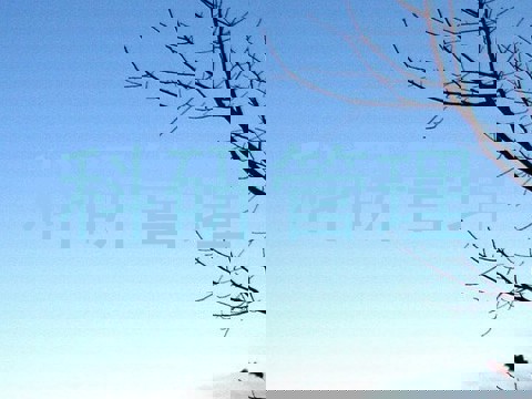 科研管理