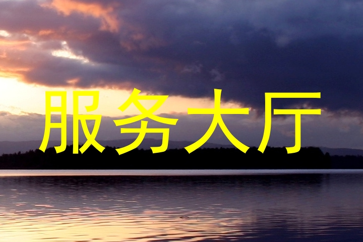 服务大厅