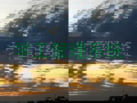 学工管理系统