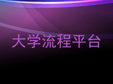 大学流程平台