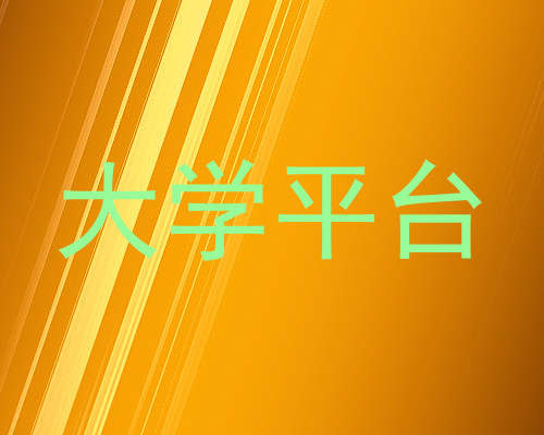 大学平台