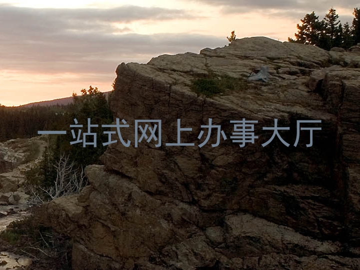 一站式网上办事大厅