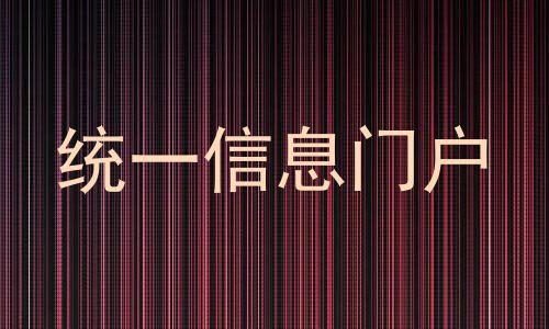 统一信息门户